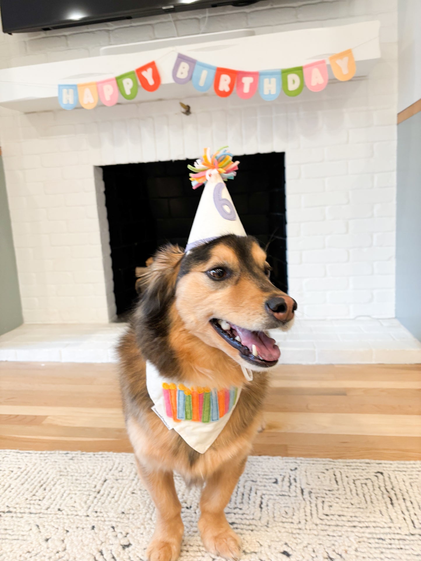 Birthday Candles