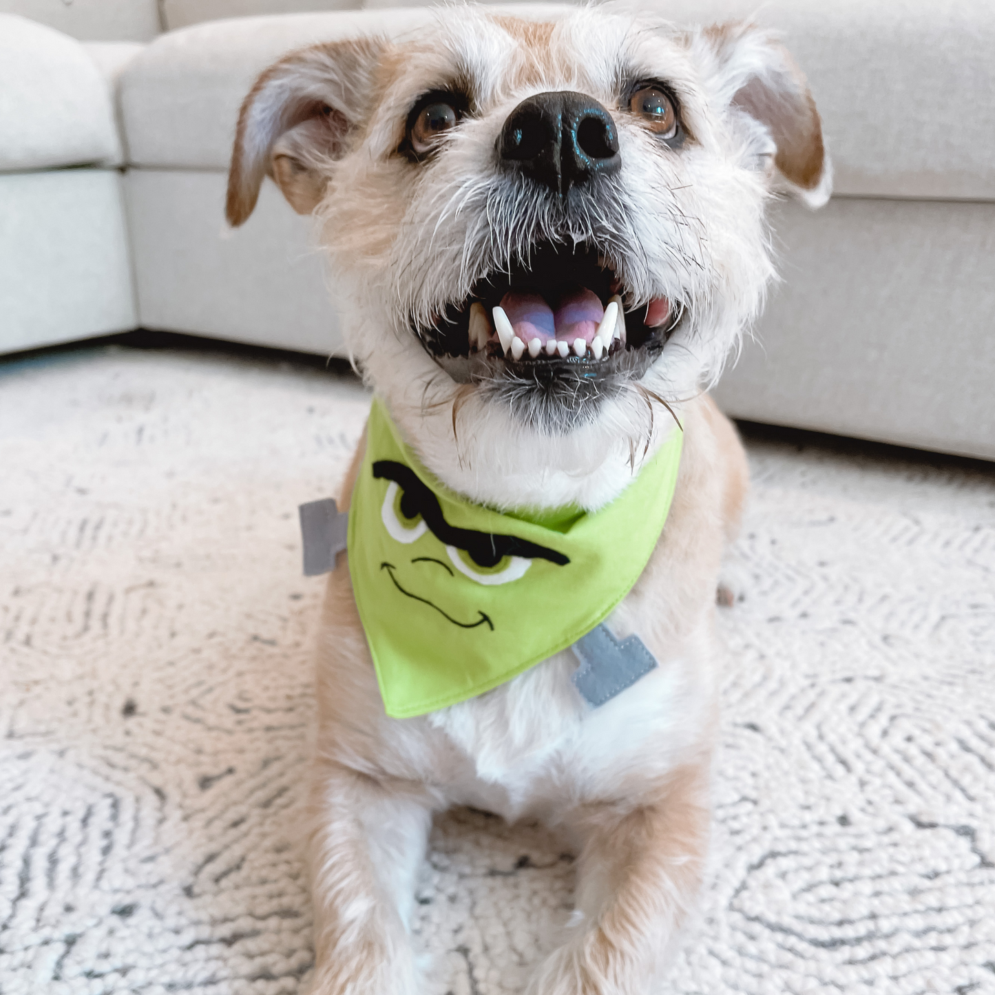 Frankenstein