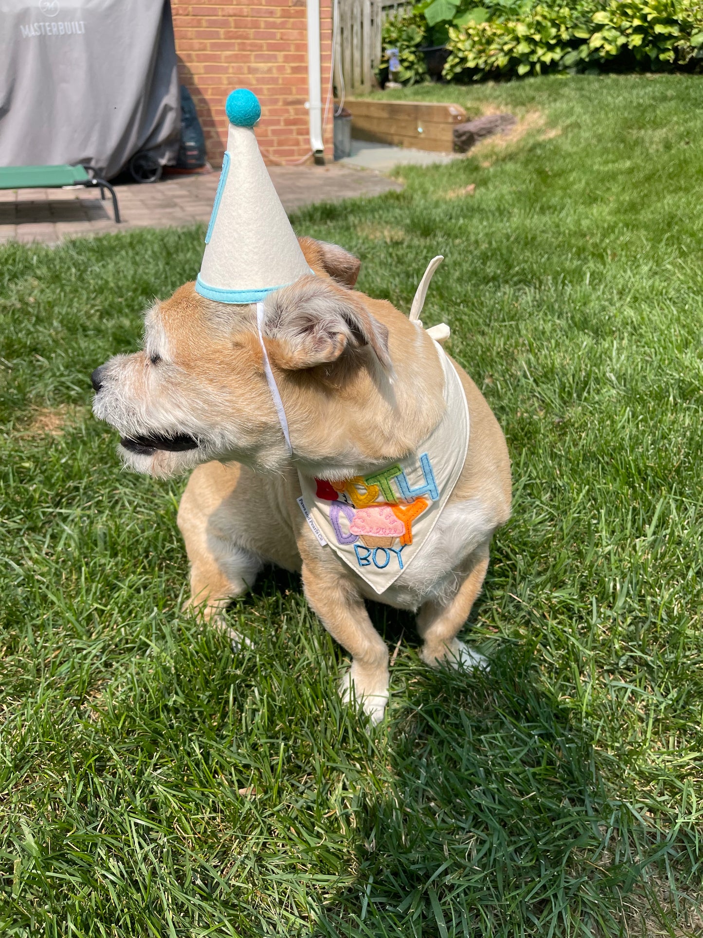 Birthday Party Hat