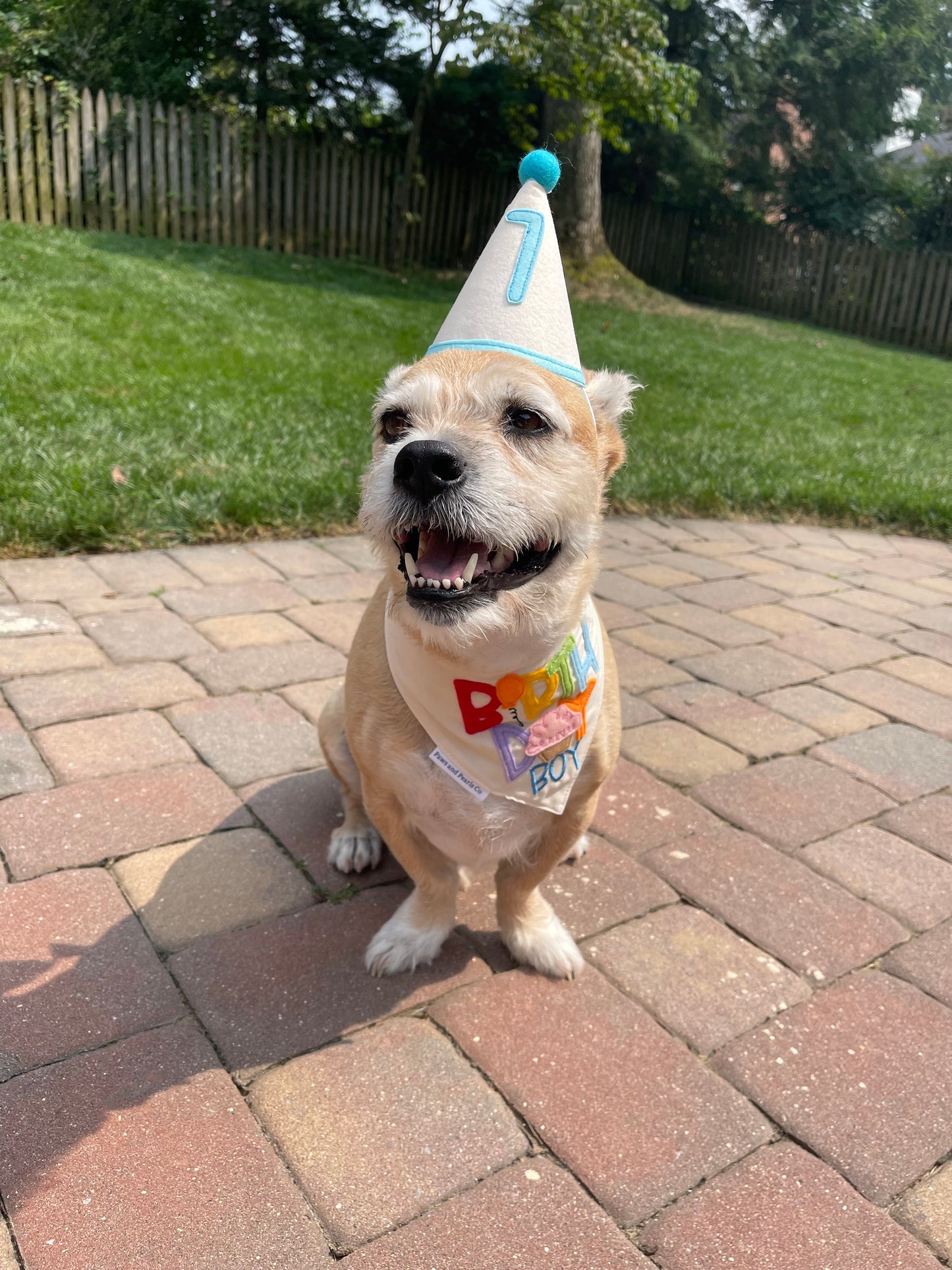 Birthday Party Hat