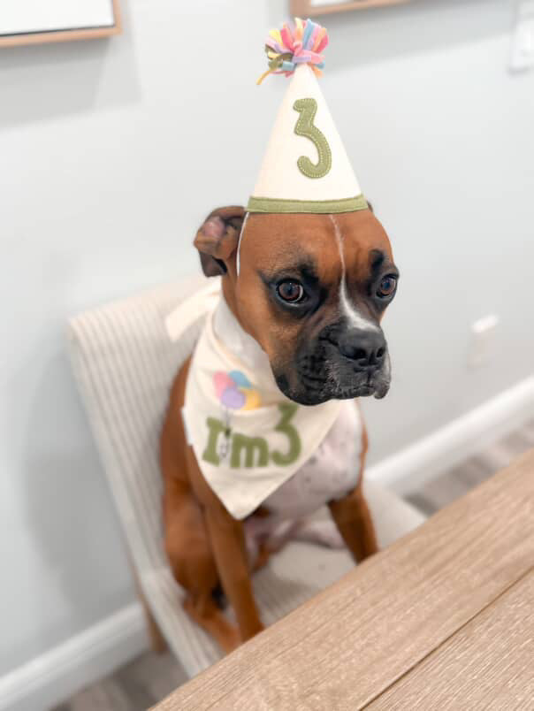 Birthday Age