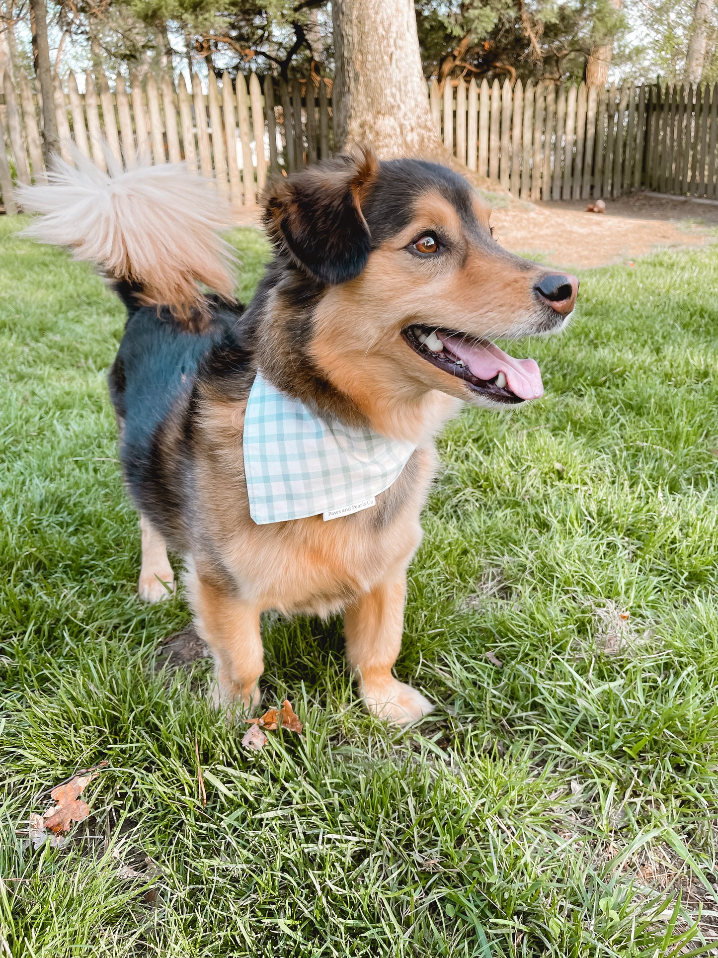 Blue-Grey Gingham