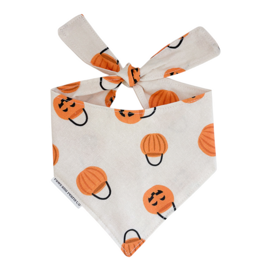 Pumpkin Buckets