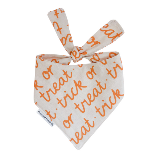 Trick or Treat | Orange
