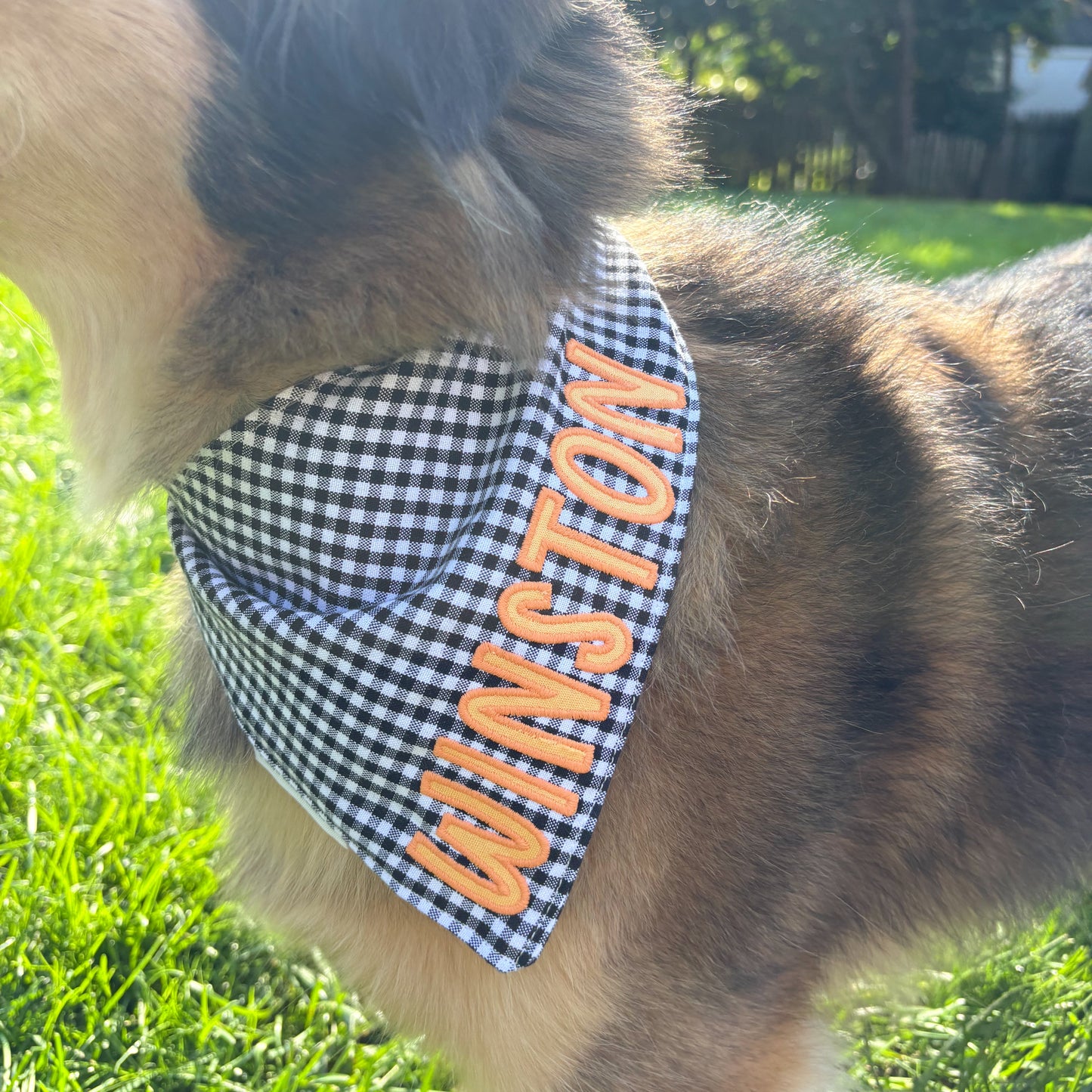 Black Gingham | Custom Name | Halloween Colorway