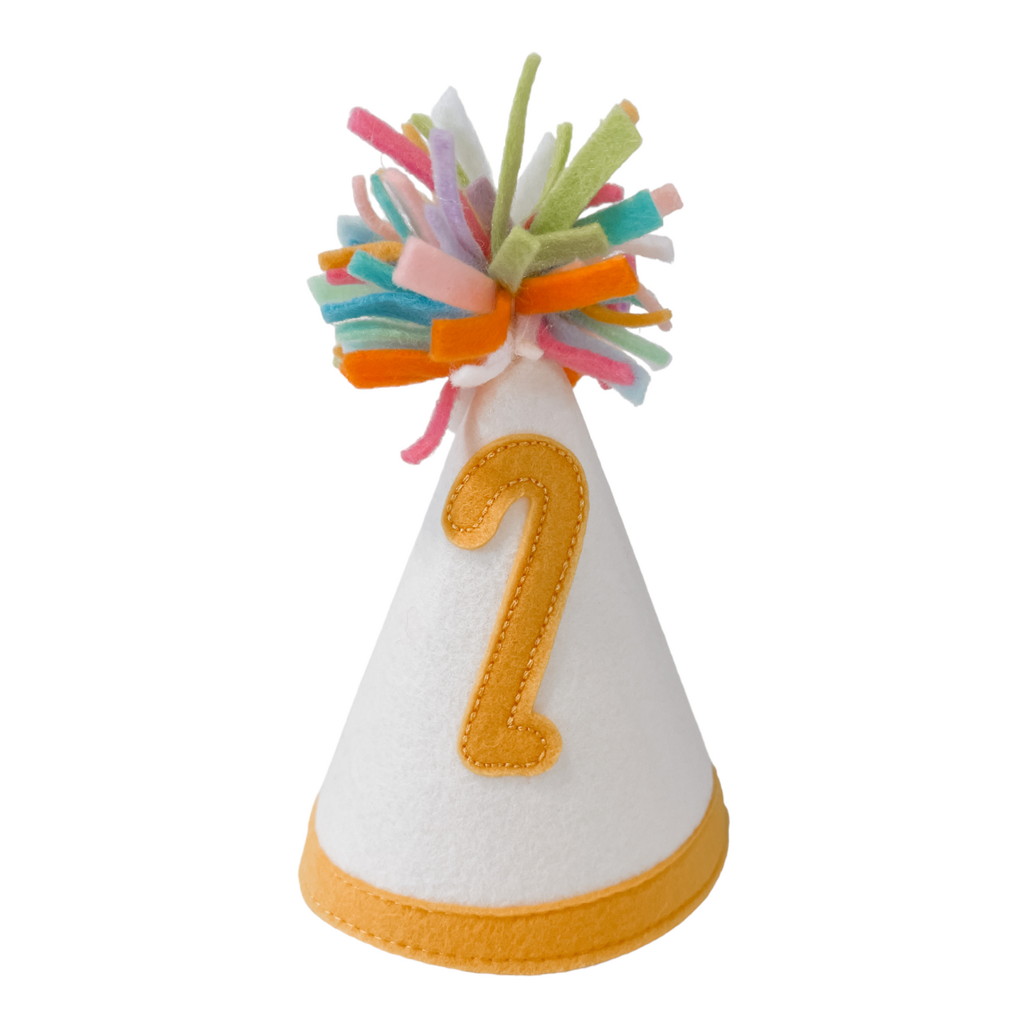 Birthday Party Hat