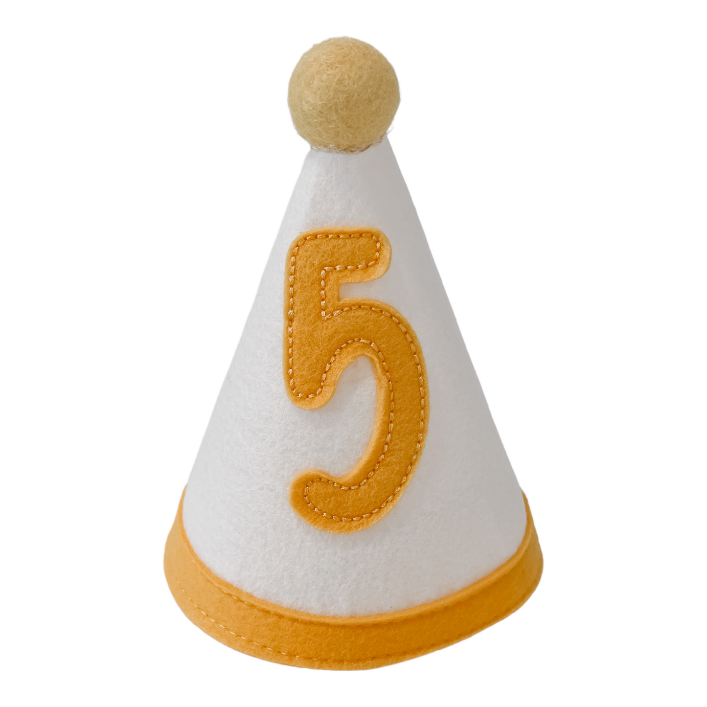 Birthday Party Hat