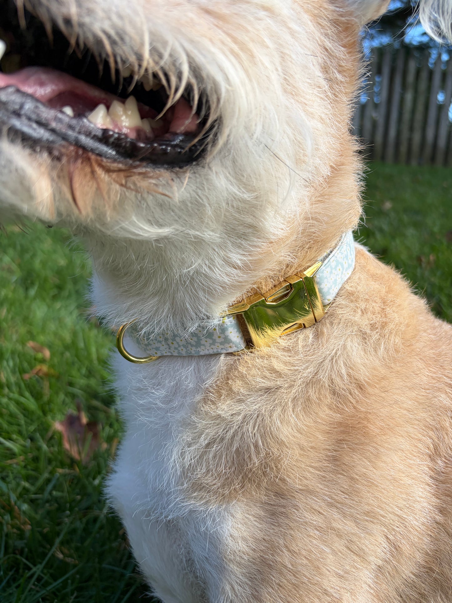 Blue Flowers | Dog Collar