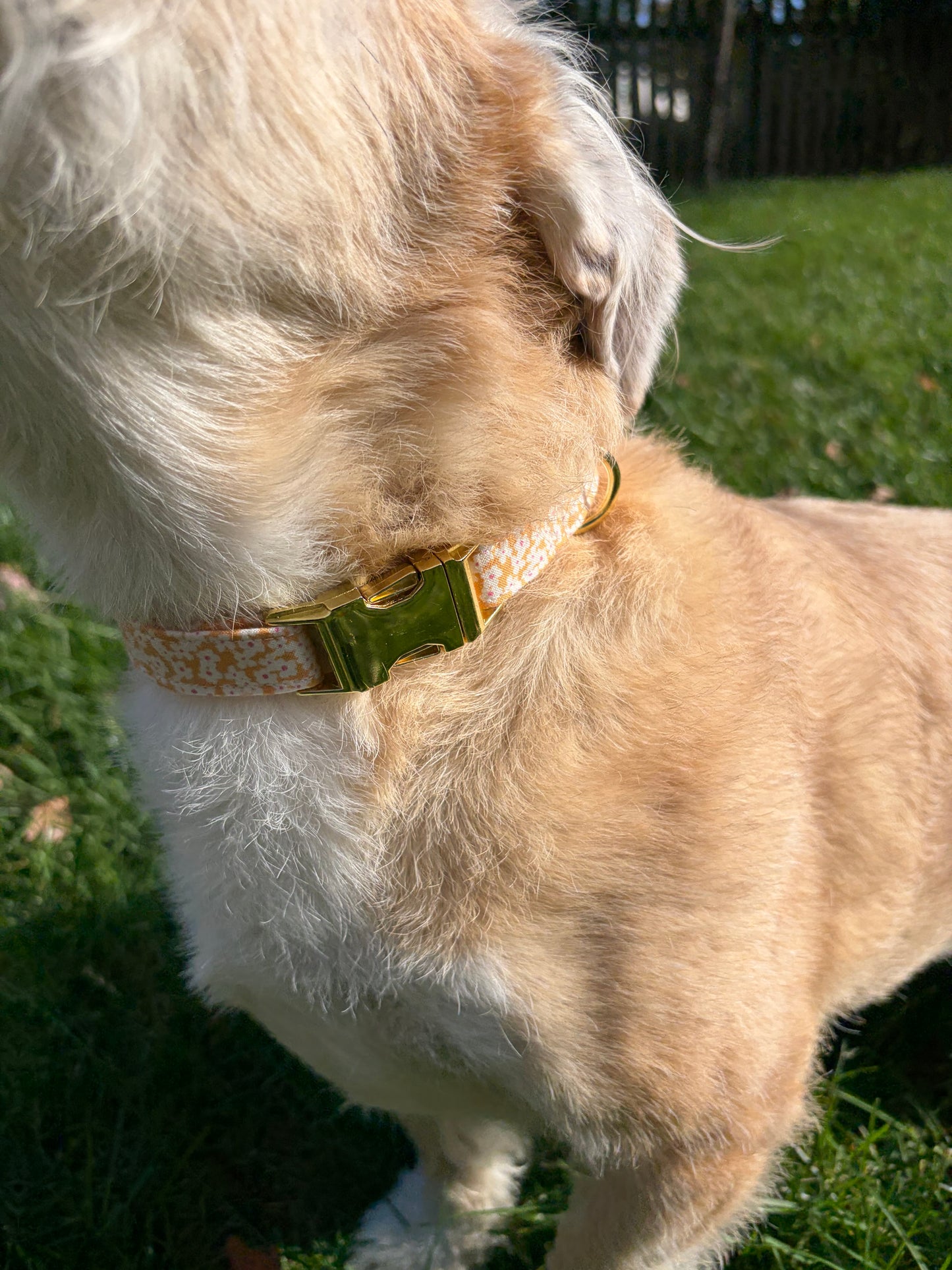Orange Flowers | Dog Collar