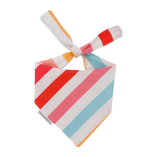 Colorful Stripes