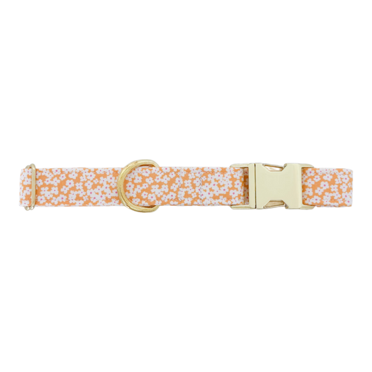 Orange Flowers | Dog Collar