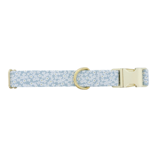 Blue Flowers | Dog Collar