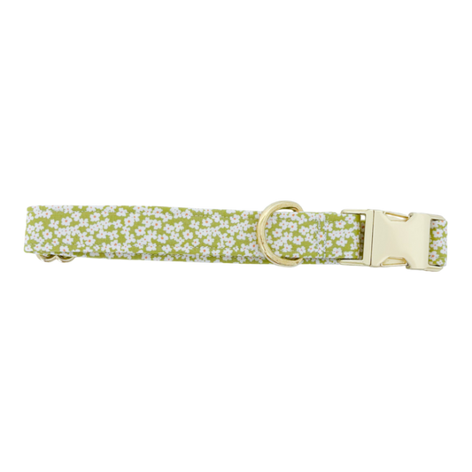 Green Flowers | Dog Collar